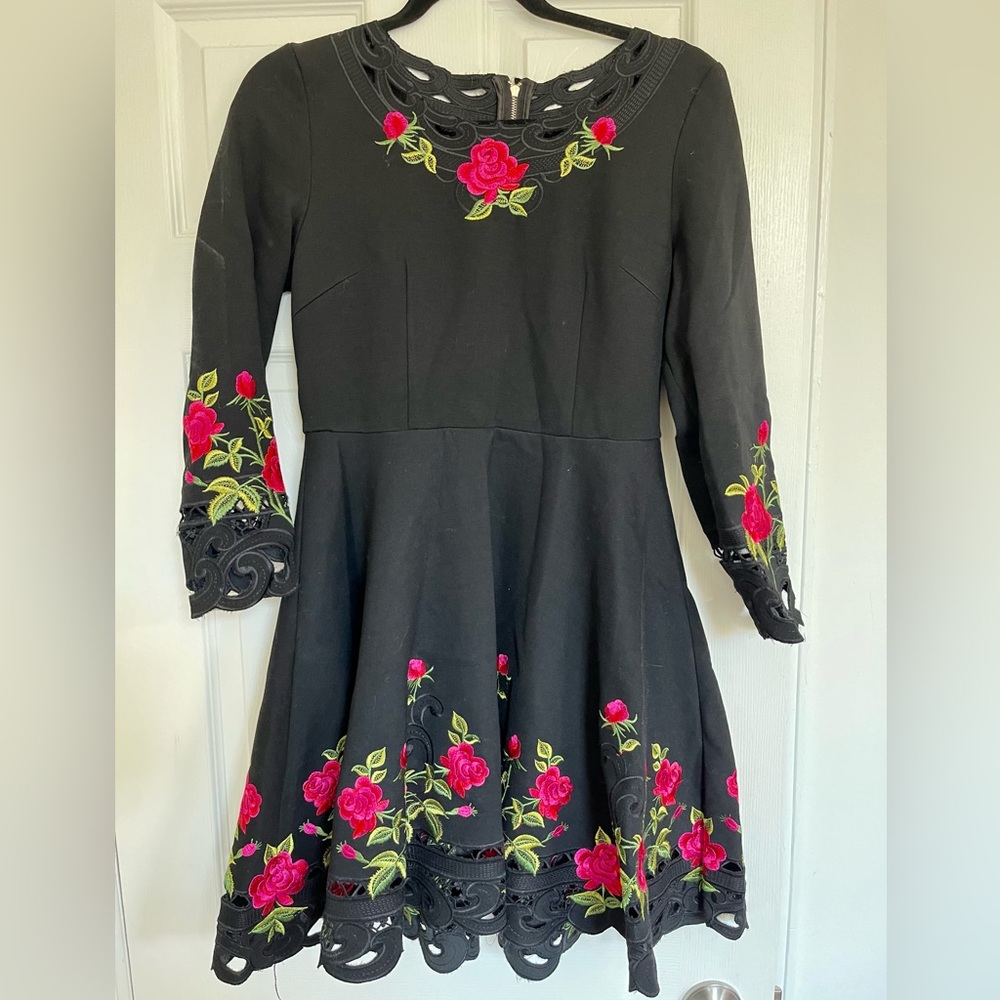 Rose Embroidered Fit and Flare Dress